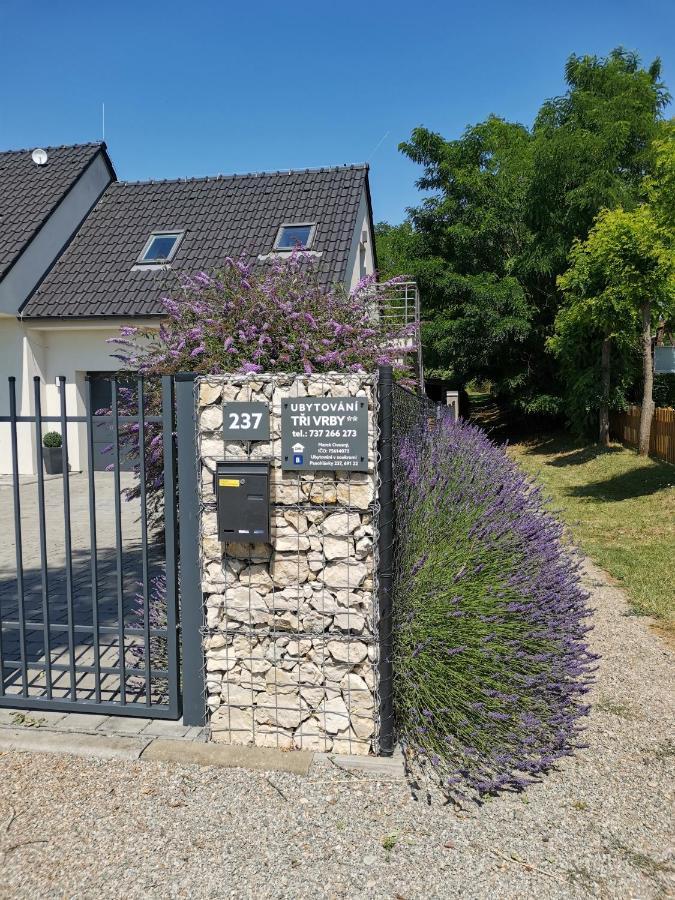 Homestay Ubytovani Tri Vrby